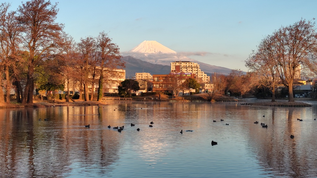 中郷温水池から1/1早朝の富士山 中郷温水池